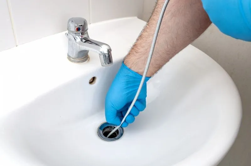 drain cleaning in Land O Lakes, FL