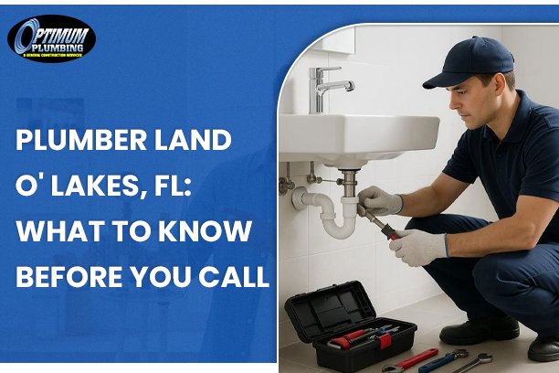 Plumber Land O Lakes FL
