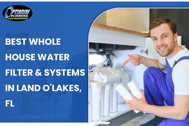 best whole house water filter